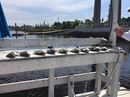 Tailn' Tides Charters-美特尔海滩必去景点