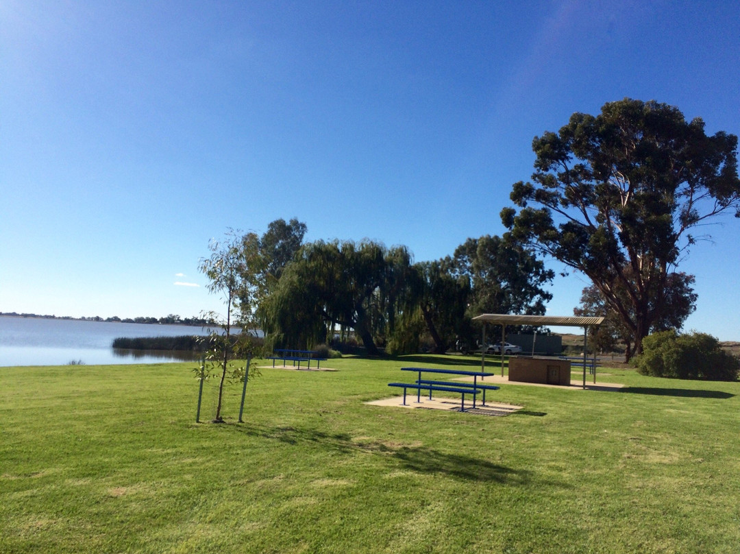 Reedy Lake Reserve-Kerang必去景点