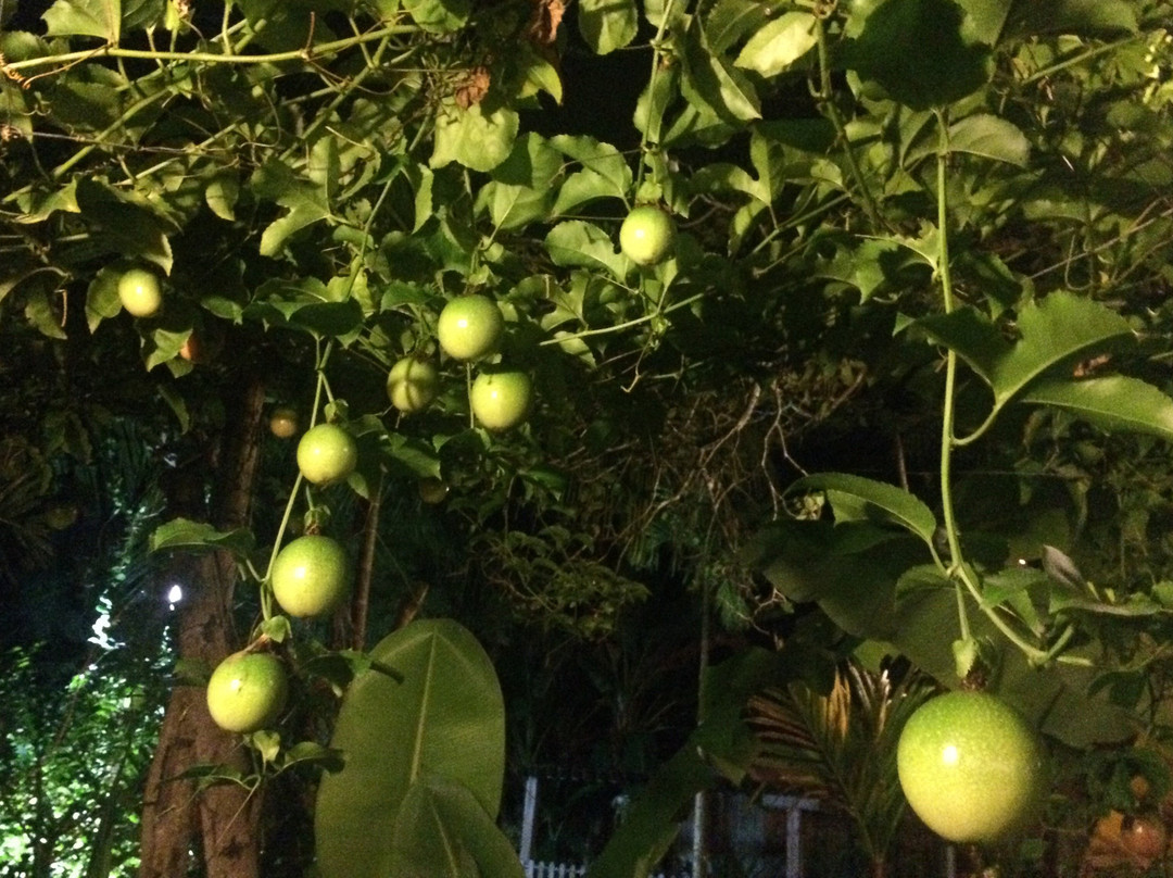 Coco Valley Garden Hotel主图