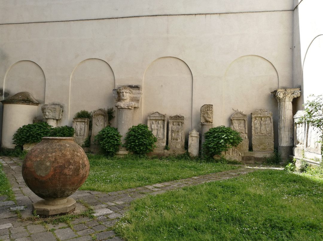 Museo Provinciale Campano景点图片
