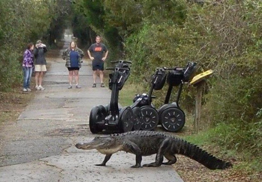 Myrtle Beach Segway-美特尔海滩必去景点