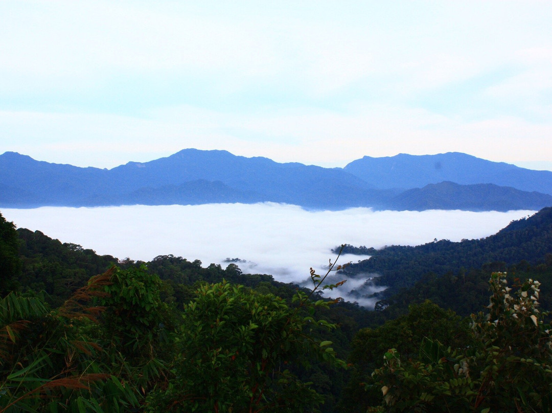 Pa Noen Tung Mountain景点图片