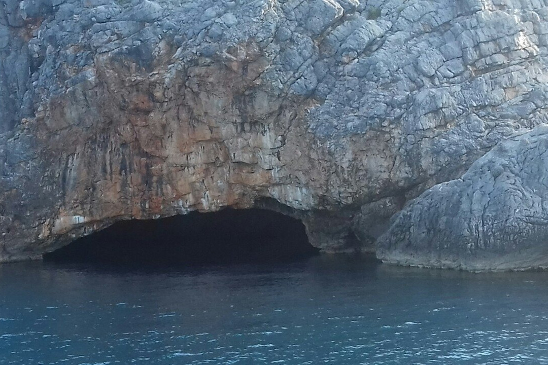 Delfin Boats景点图片