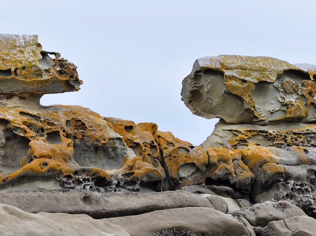 Kayaking Gulf Islands-Mayne Island必去景点