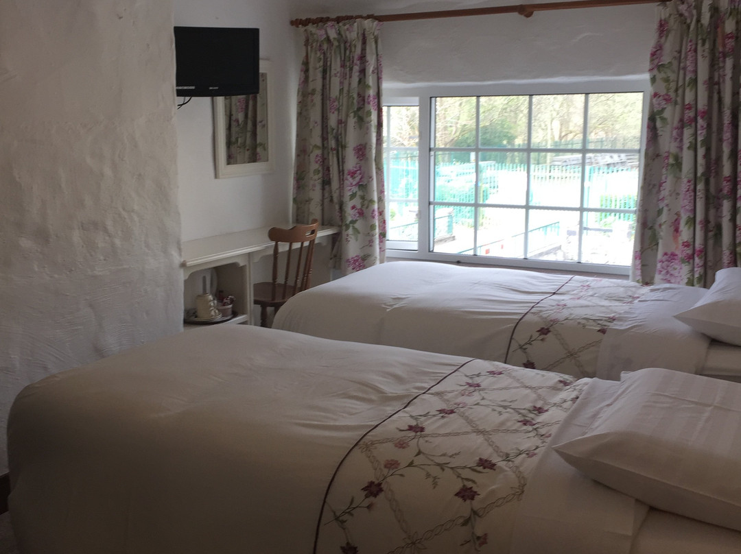 康镇酒店住宿-Ryan's River Lodge B&b