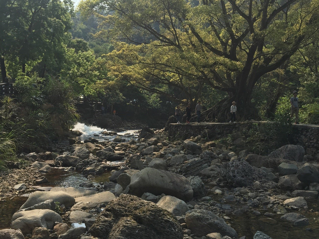 石门森林公园景点图片