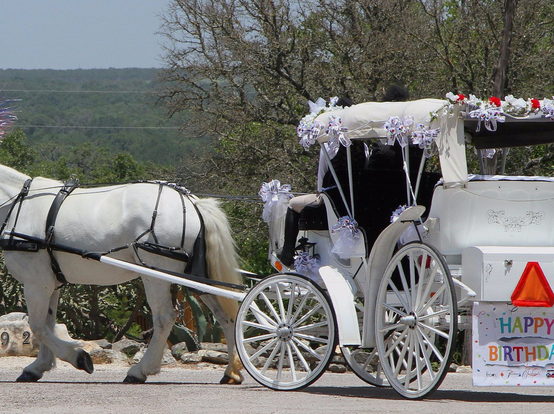 Fantasia Carriage-Lago Vista必去景点