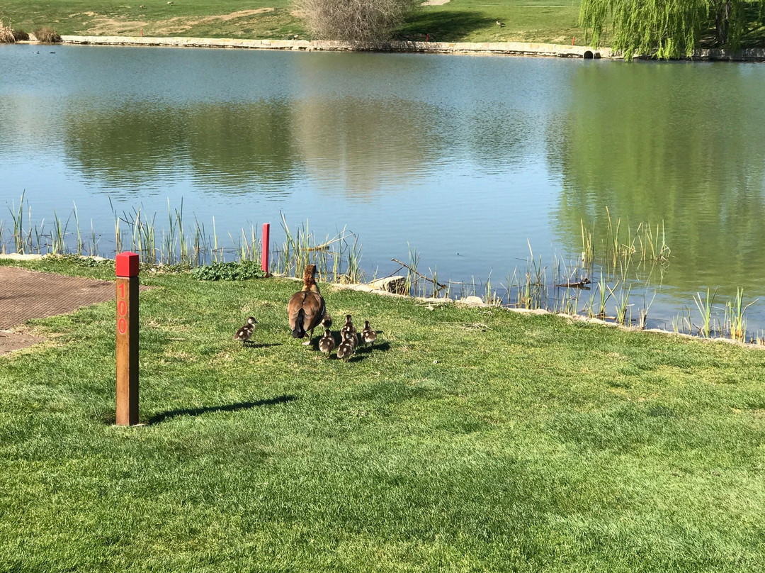 Club De Golf La Moraleja I-阿尔科文达斯必去景点