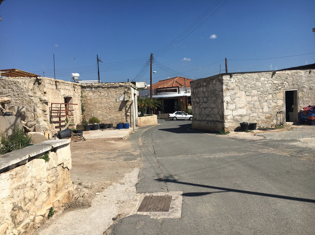 Kouklia Reptile Park-库克利亚必去景点