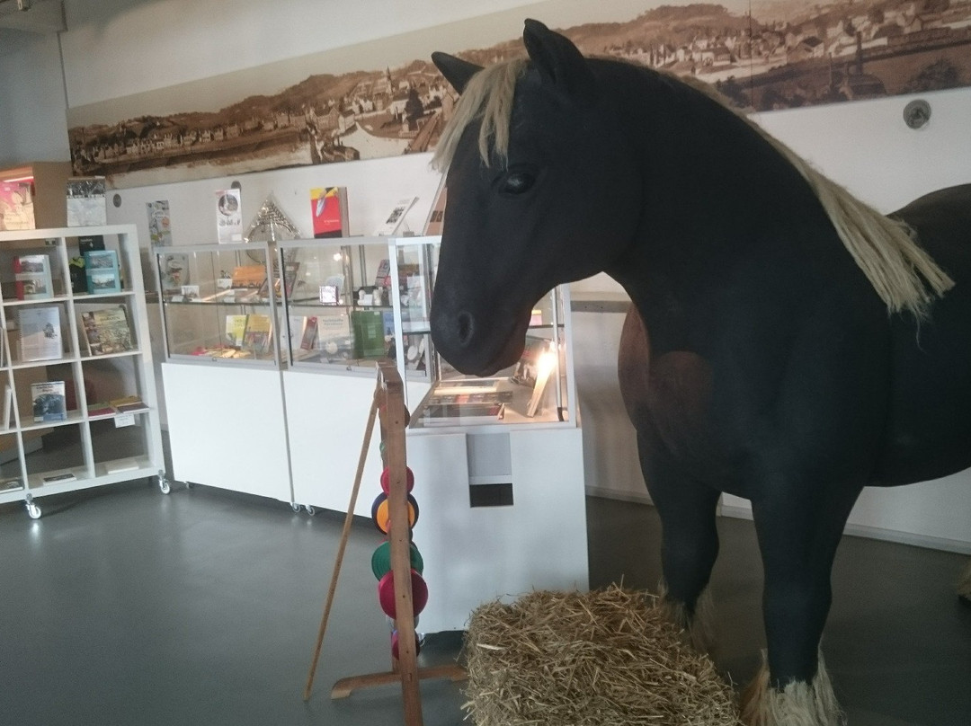 Museum für Frühindustrialisierung-伍珀塔尔必去景点