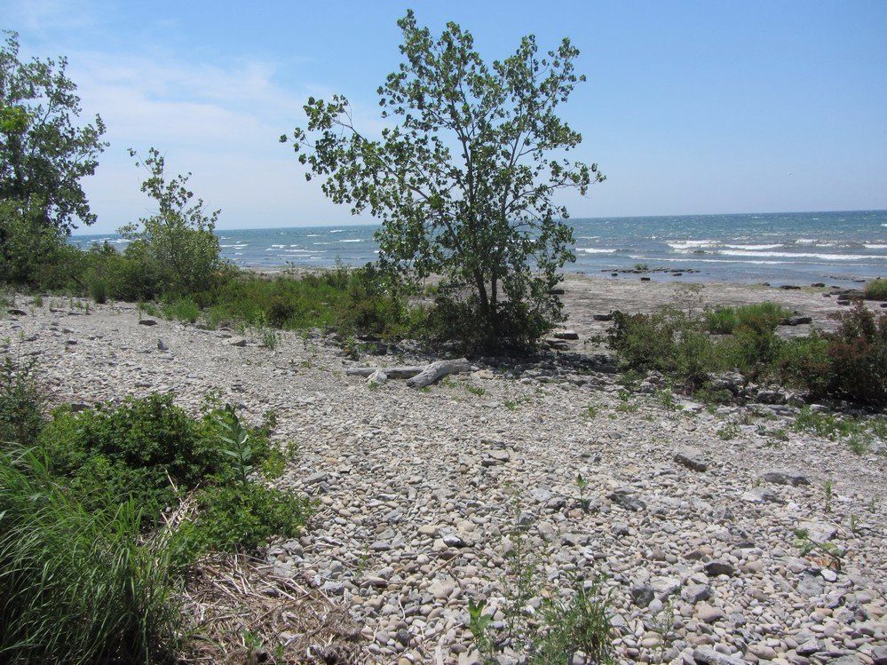 Morgan's Point Conservation Area-Wainfleet必去景点