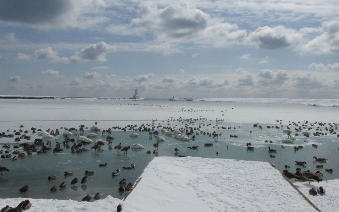 Cobourg East Pierhead Lighthouse-科堡必去景点