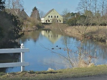 Haselau餐馆和美食-Haseldorfer Hof