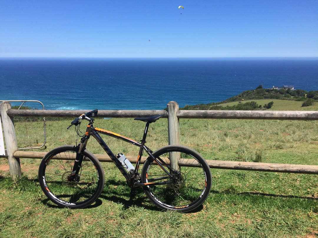 Sixty 53 Sixty Bicycle Rentals-荒野必去景点