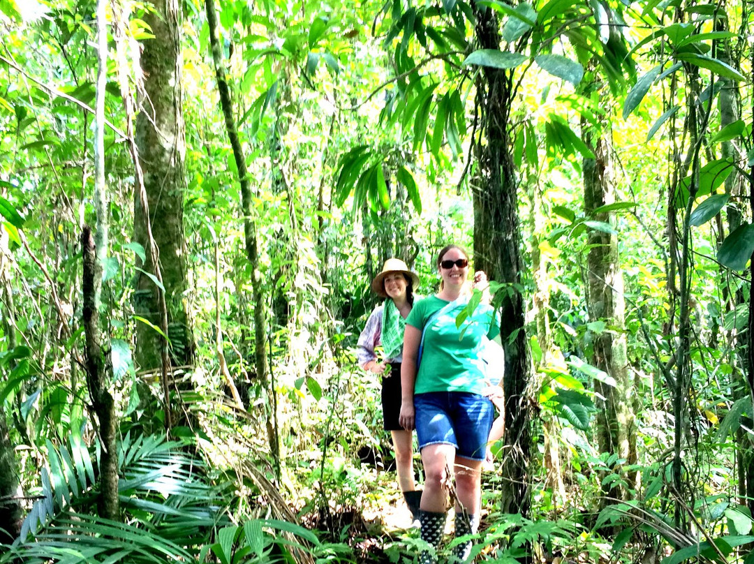 Rio Celeste Blue Adventures景点图片