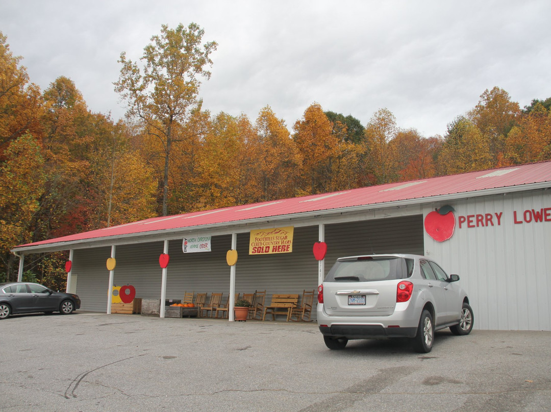 Perry Lowe Orchards-Moravian Falls必去景点