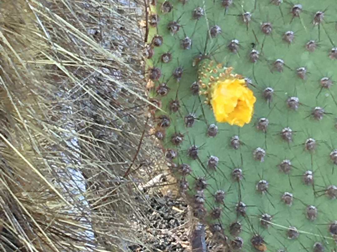 Galapagos Real Voyage-皮钦查省 圣安东尼奥镇必去景点