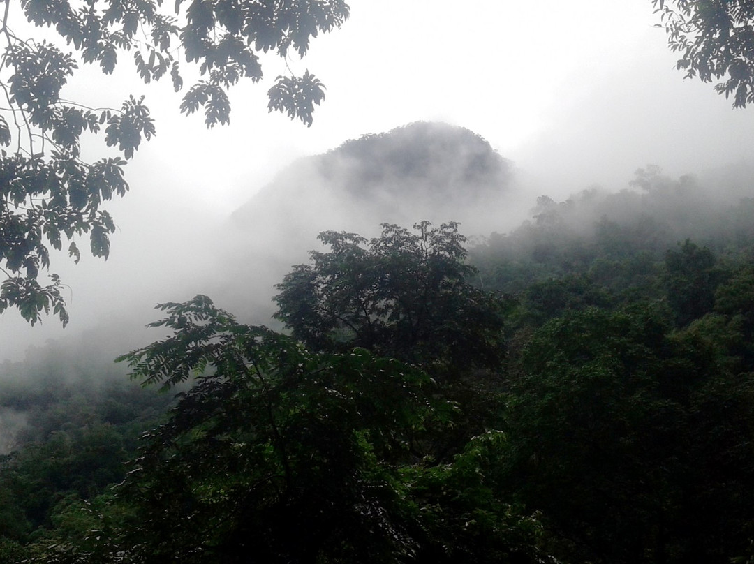 Lang Mai Travel-Dong Ha必去景点