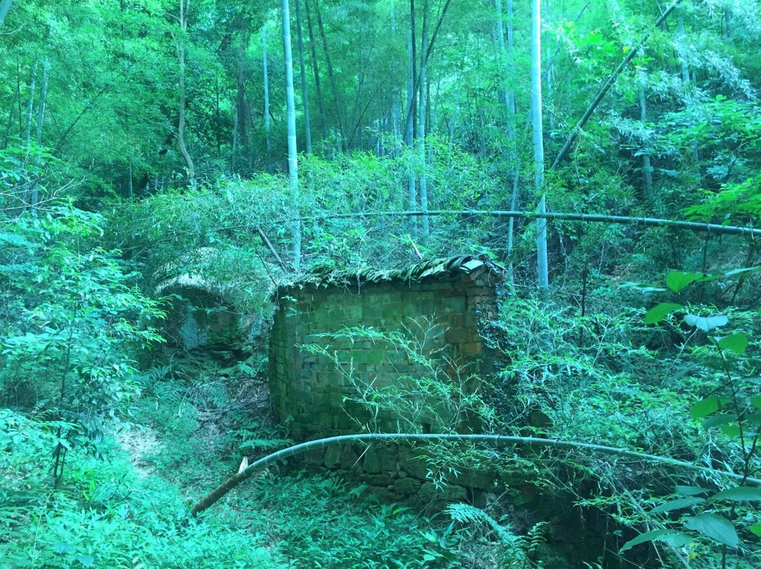 万罗山-池州市必去景点
