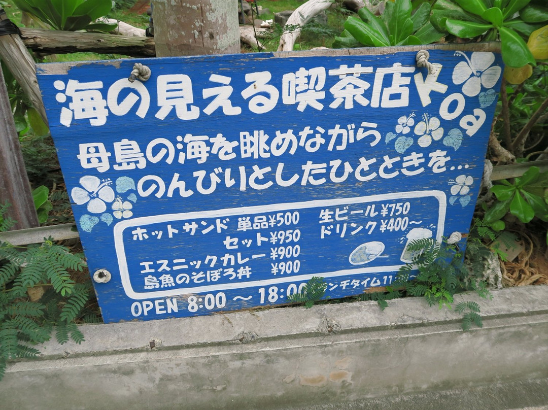 Club Noah Hahajima-小笠原村必去景点