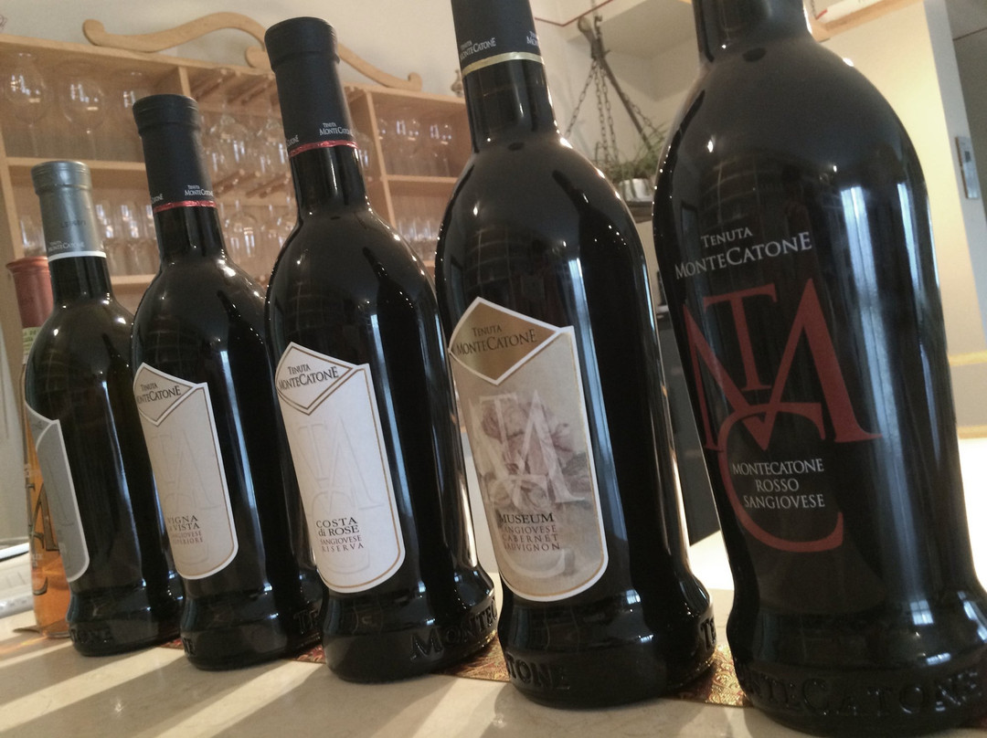 Tenuta Montecatone景点图片