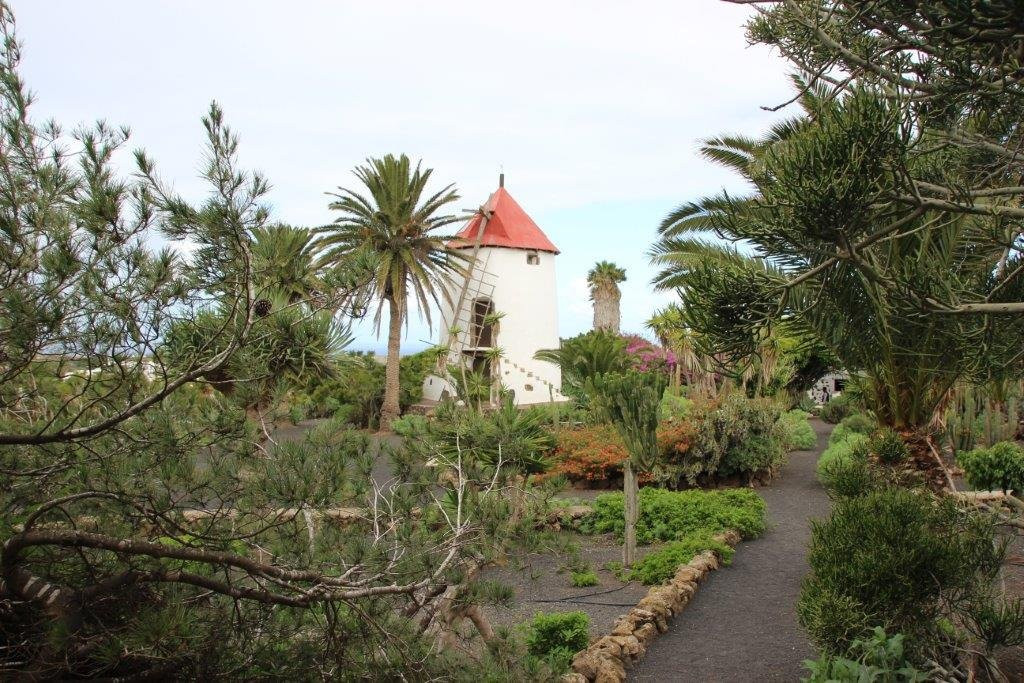 Museo Agricola el Patio-兰萨罗特必去景点