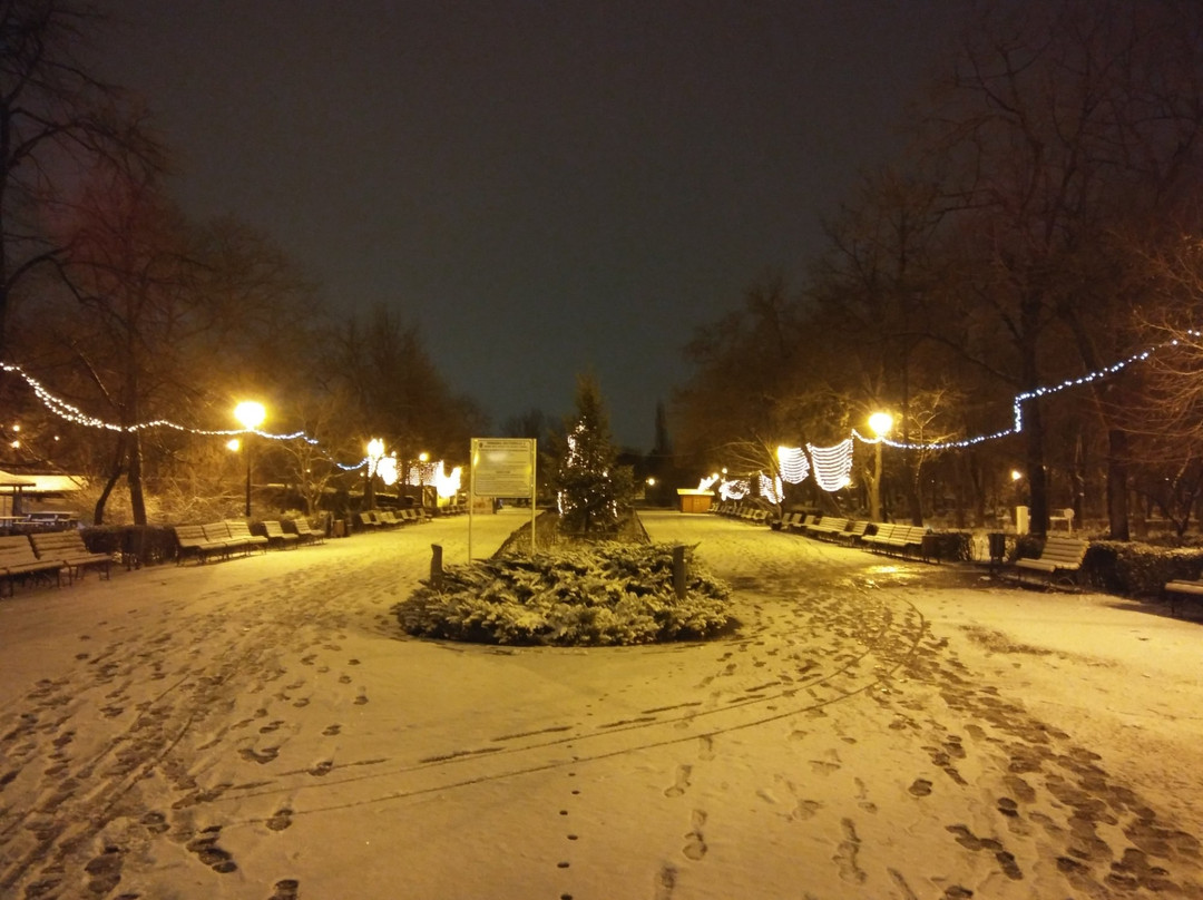 Parcul Plumbuita景点图片
