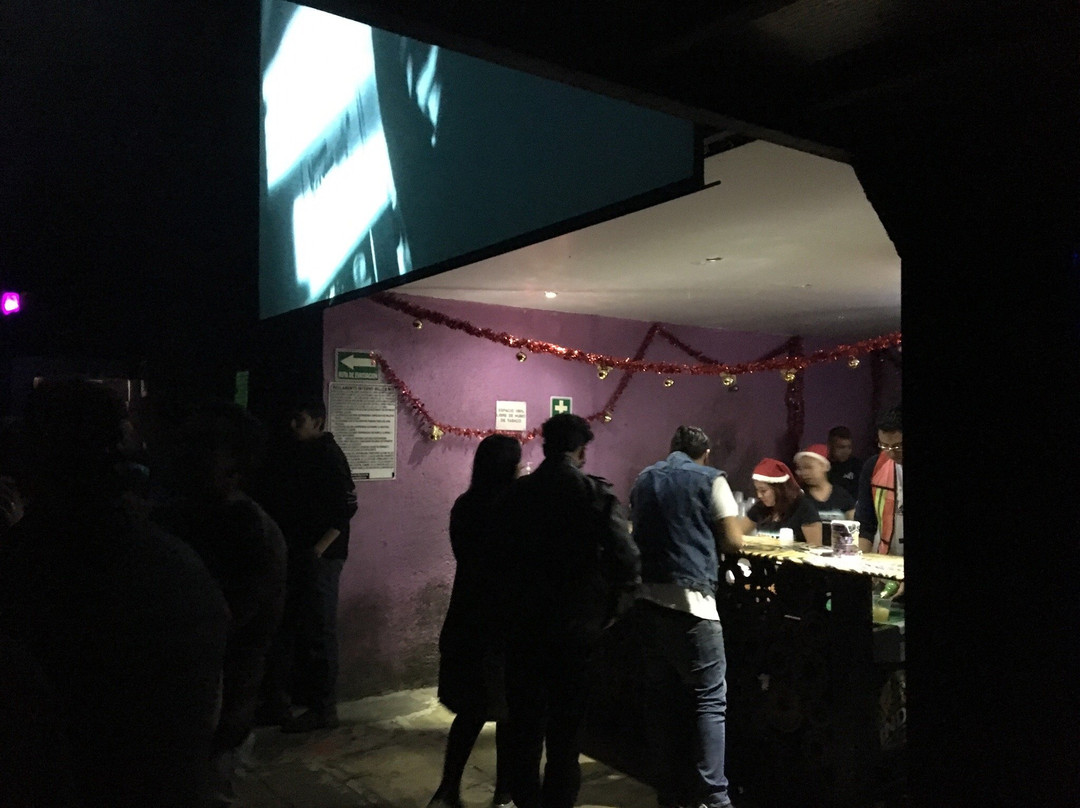 Patrick Miller Club-墨西哥城必去景点