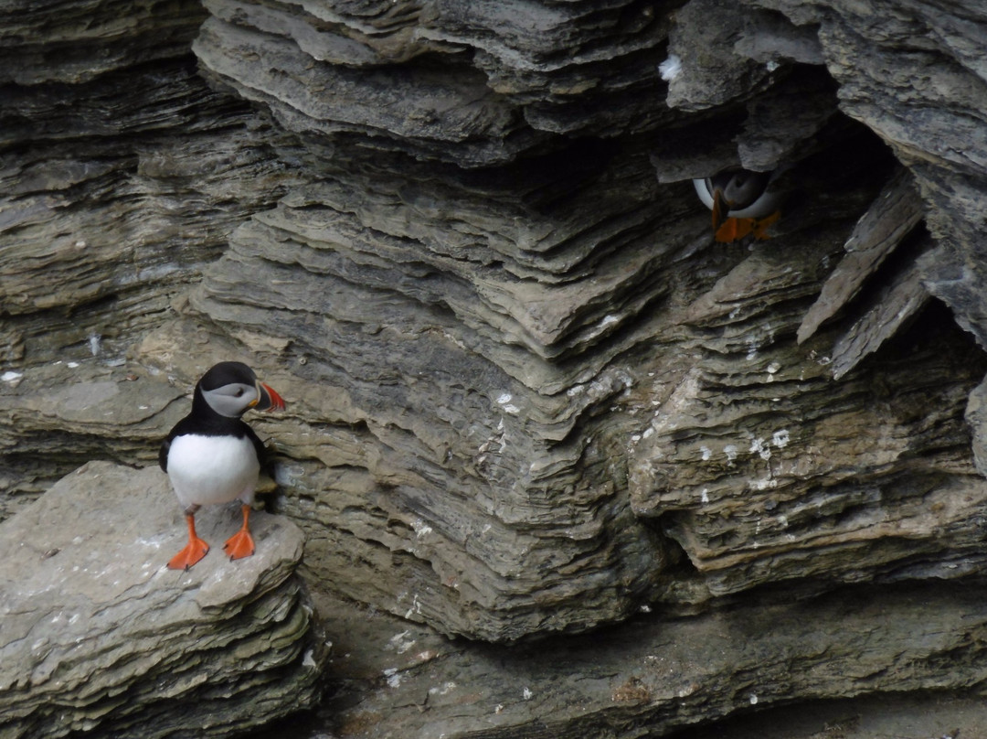 About Orkney-Stenness必去景点
