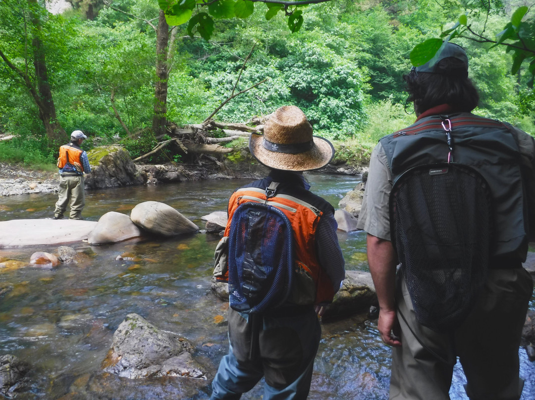 Leitzaran Bisitarien Etxea-Andoain必去景点