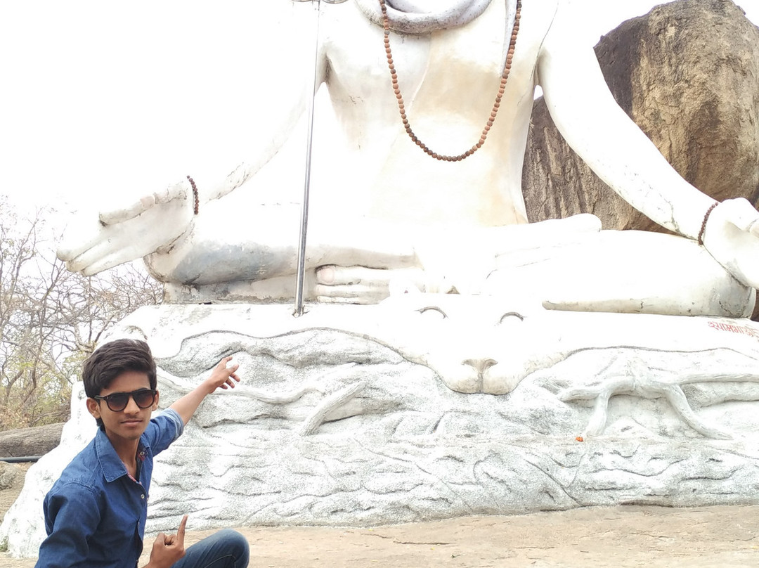 Suryadeo Mando Devi Temples景点图片