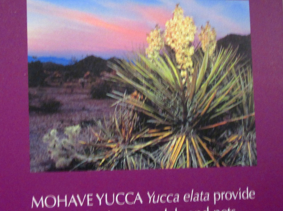 Lake Havasu Museum of History-哈瓦苏湖城必去景点