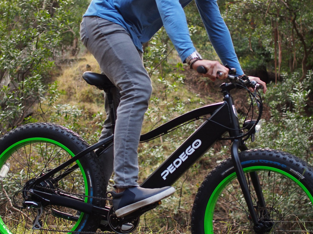 Pedego Electric Bikes Tiburon景点图片
