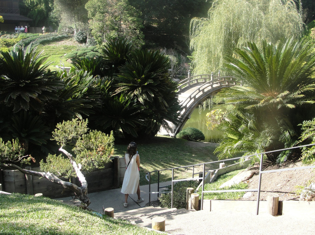 Huntington Beach Central Library-亨廷顿海滩必去景点