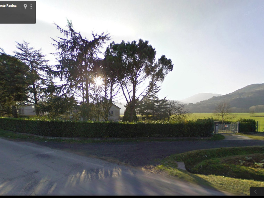 B&B Verde Vivo主图