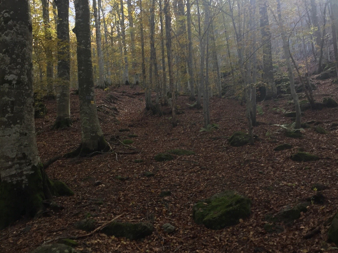 Parco Regionale dell'Aveto-Borzonasca必去景点