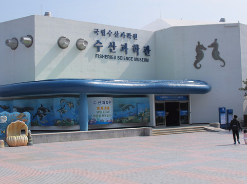 Fisheries Science Museum-釜山必去景点
