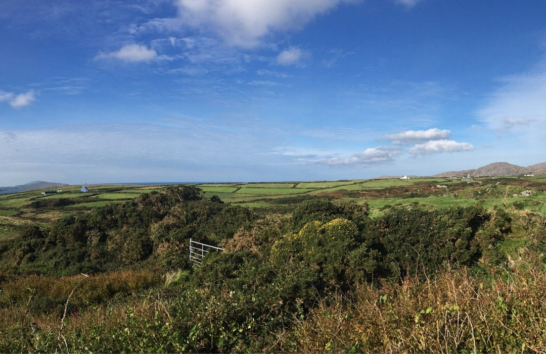 Allihies Copper Mine Trail-Allihies必去景点