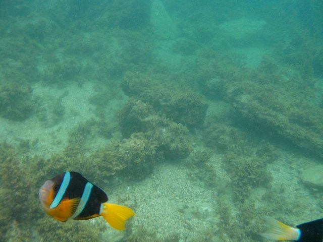 Rinkaiura Beach-白滨町必去景点