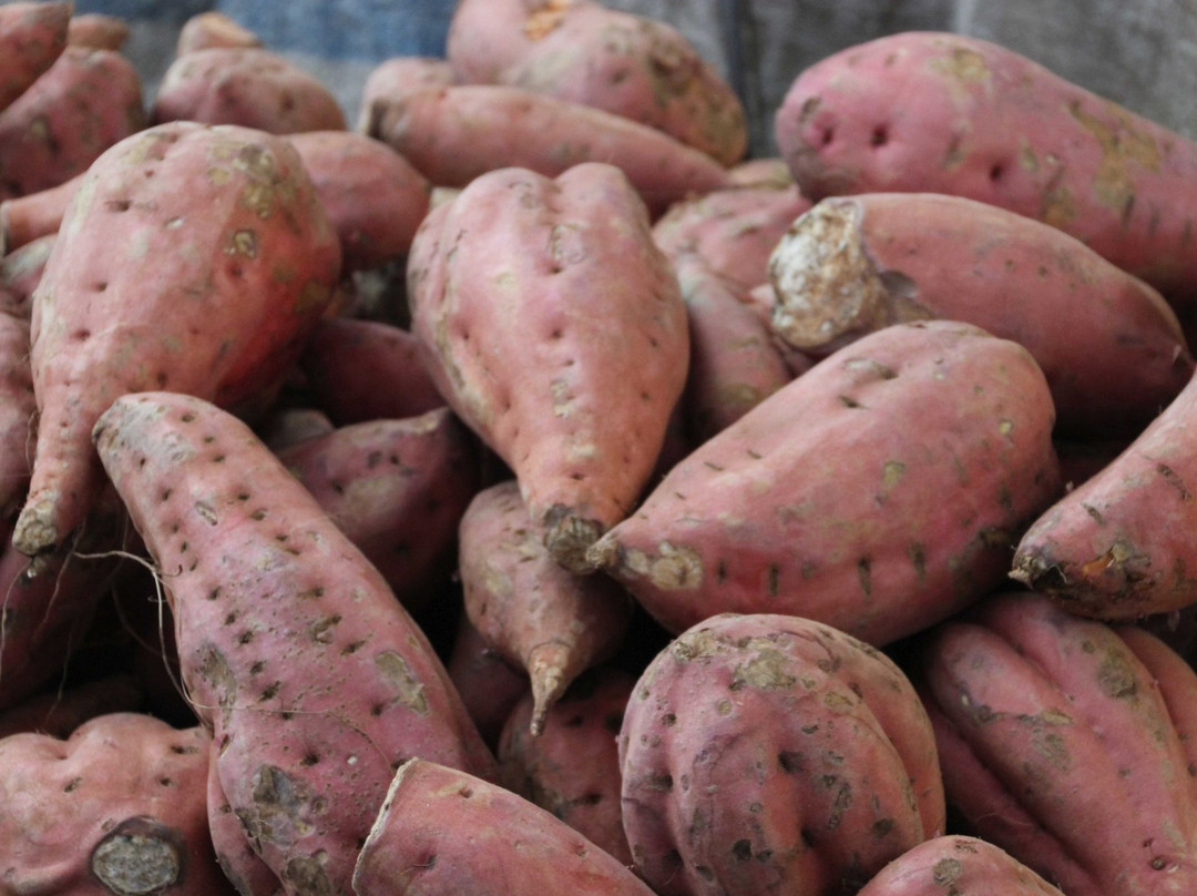 Petach Tikva Market-Petah Tiqwa必去景点