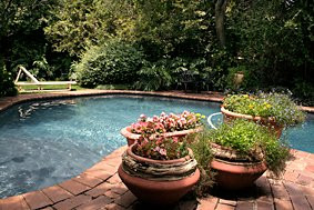 Apricot Hill Farm主图