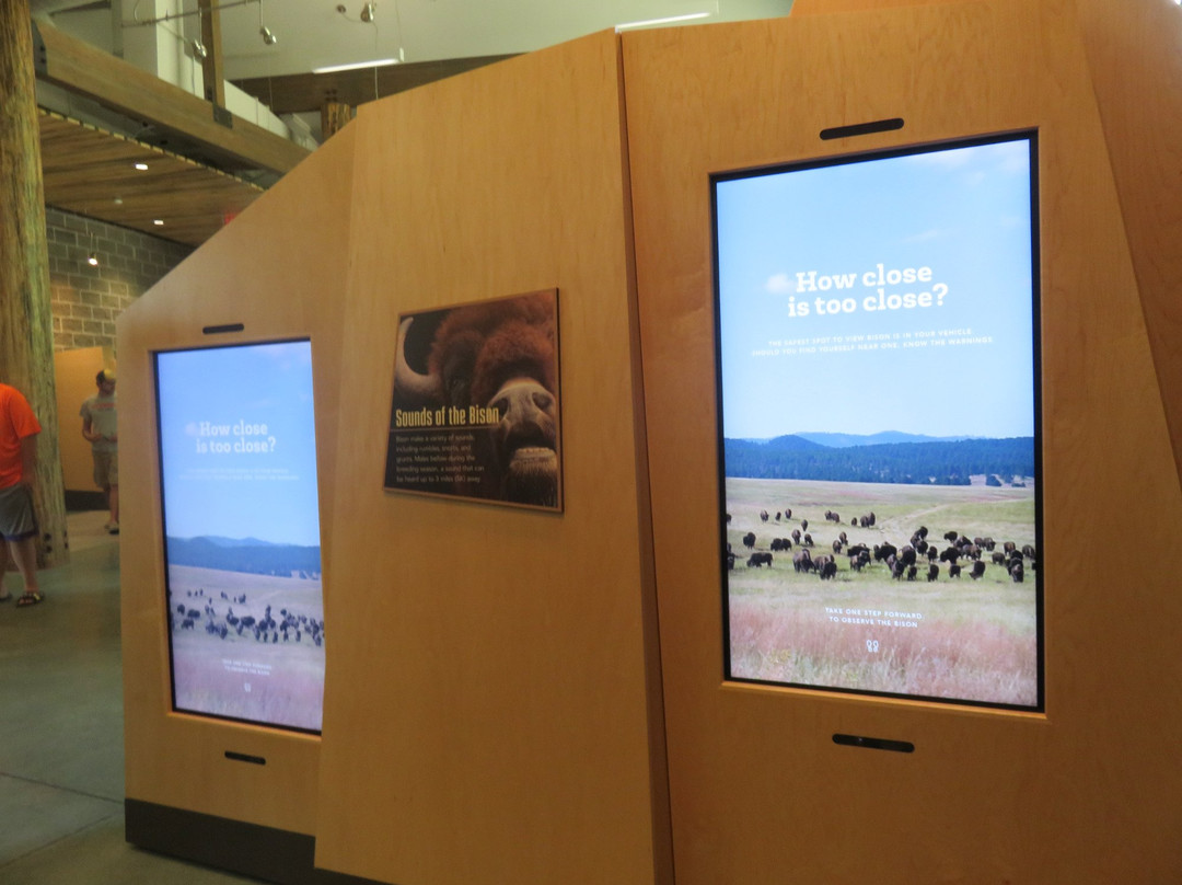 Peter Norbeck Outdoor Education Center-卡斯特必去景点