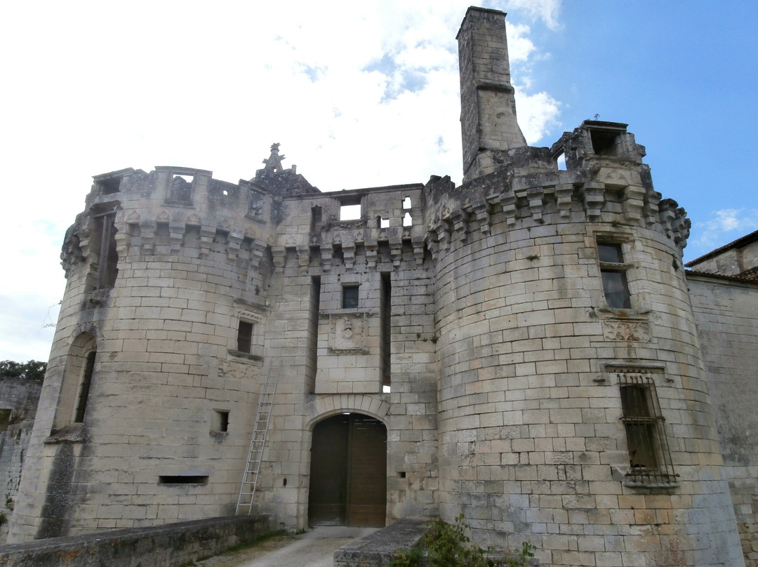 Château de Mareuil景点图片