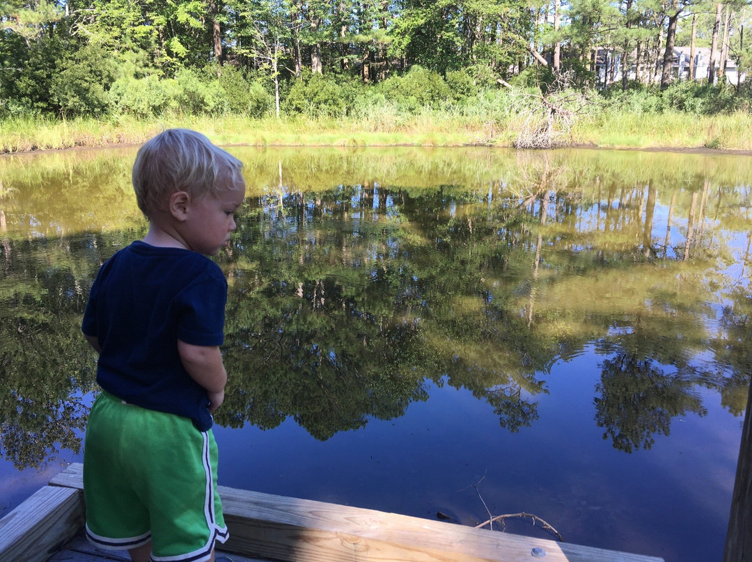 Bethany Beach Nature Center-Bethany Beach必去景点