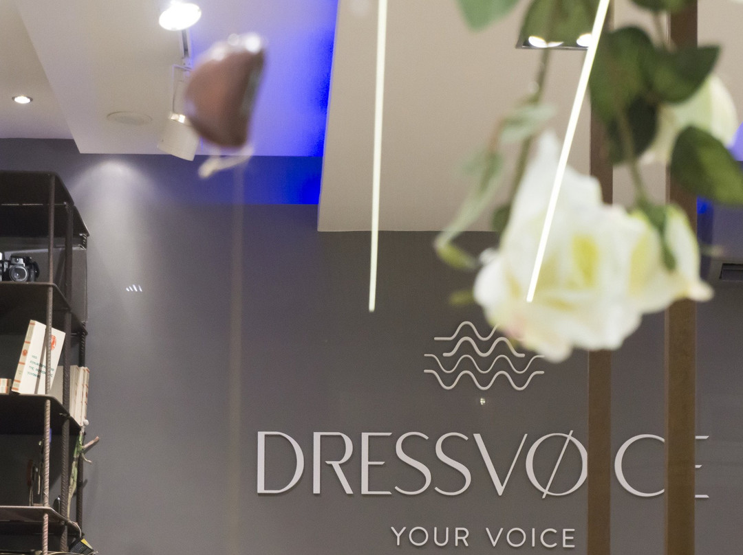 DressVoice景点图片