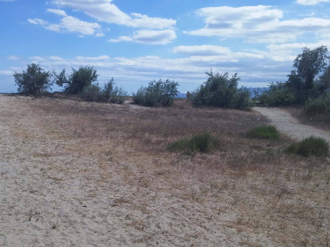 Plage de l'Arinella-Ghisonaccia必去景点