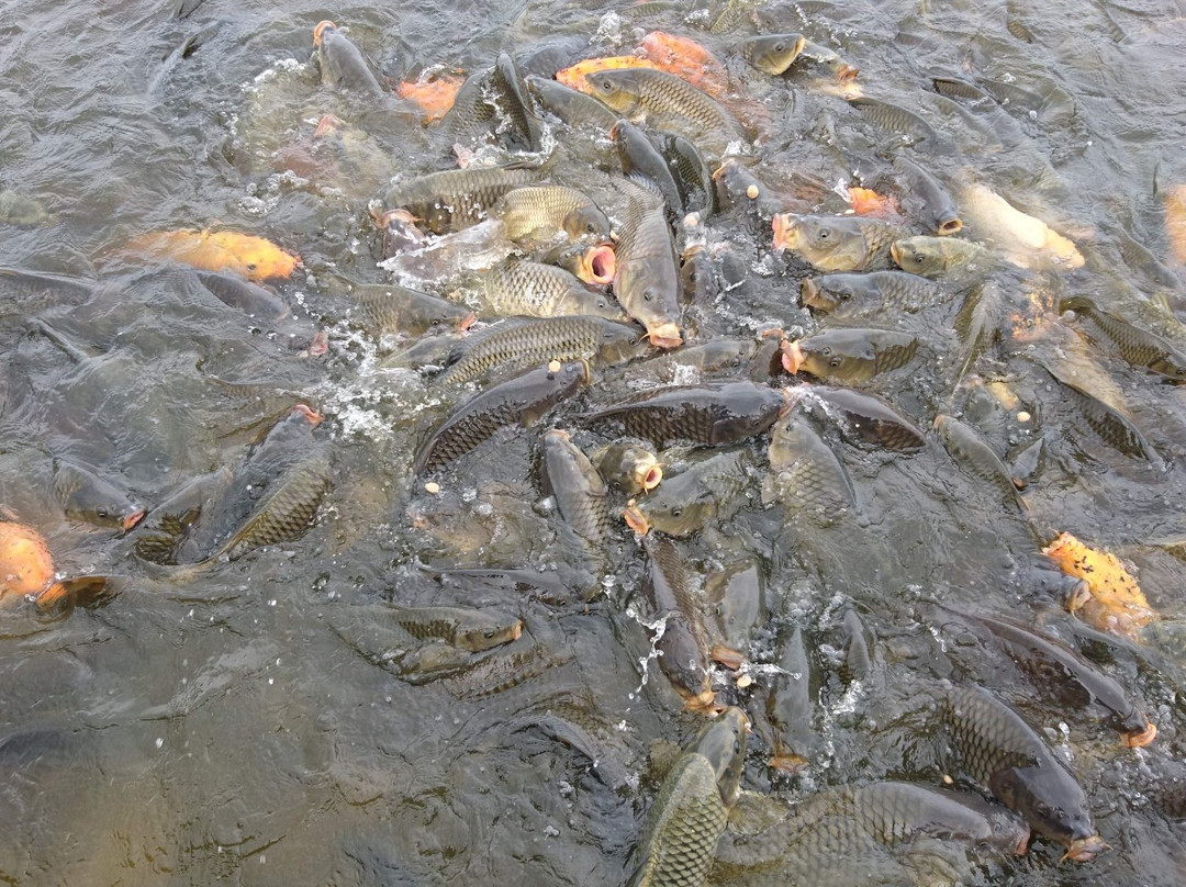 Taudaha Lake-加德满都必去景点