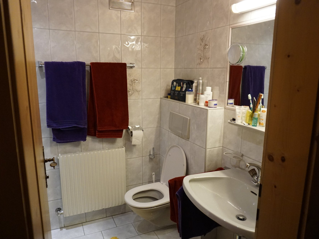 Top Tirol Appartments主图