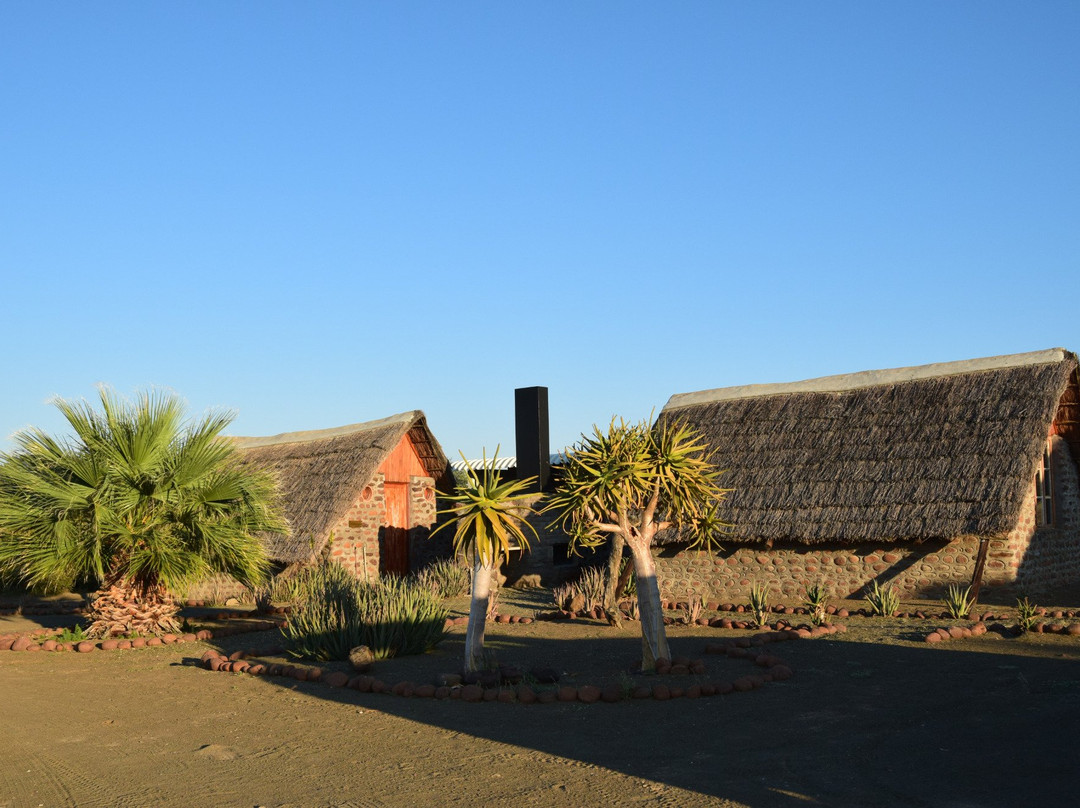 Mesosaurus Fossil Camp