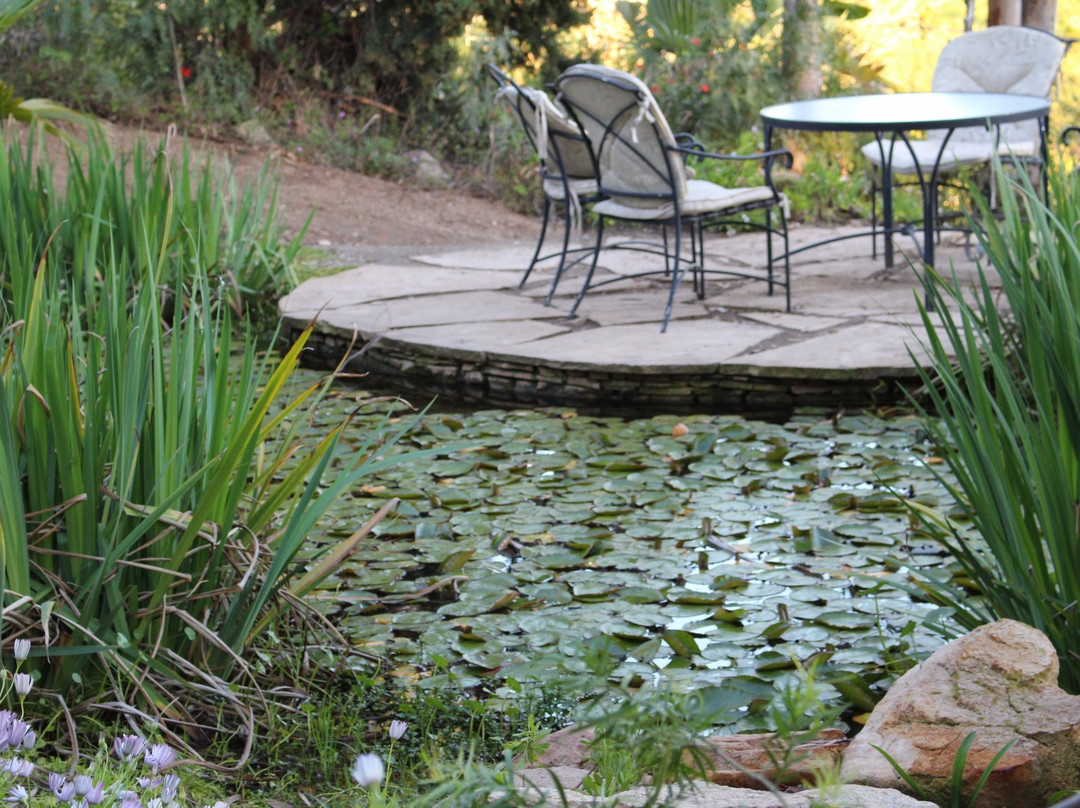 Alta Vista Botanical Gardens-维斯塔必去景点